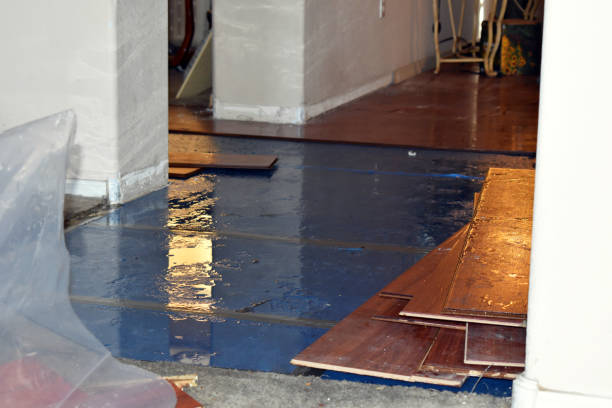 Professional Sewage Cleanup technician working in East Dennis, MA